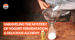 Unraveling the Mystery of Yogurt Fermentation: A Delicious Alchemy